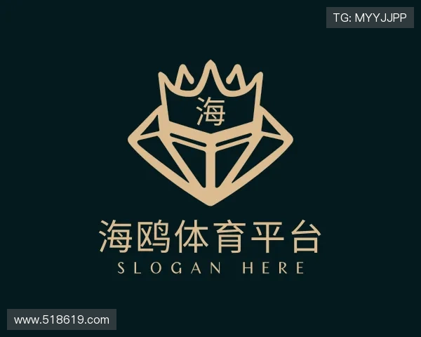 评述海鸥体育平台